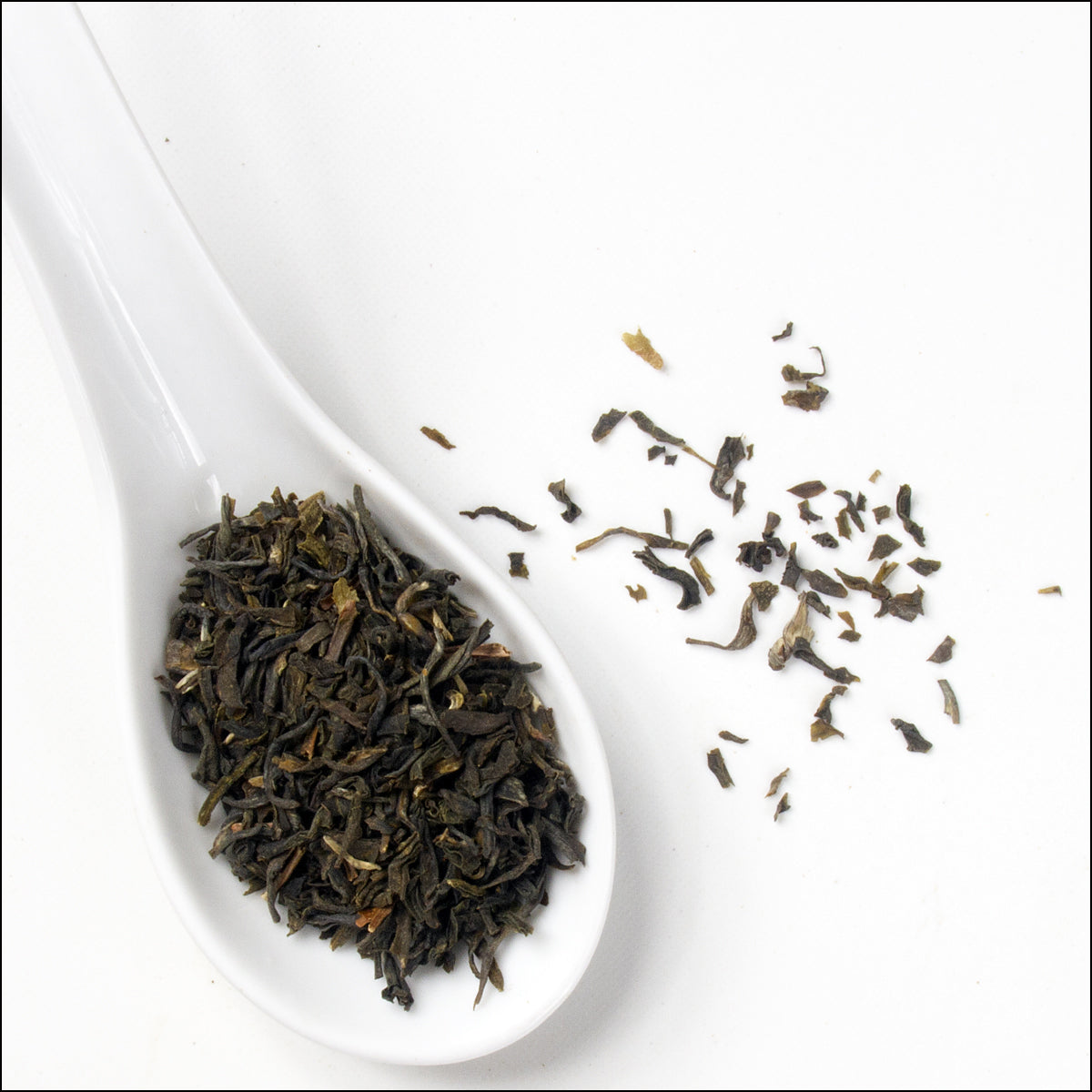 Jasmine | OP | Green Tea Blend