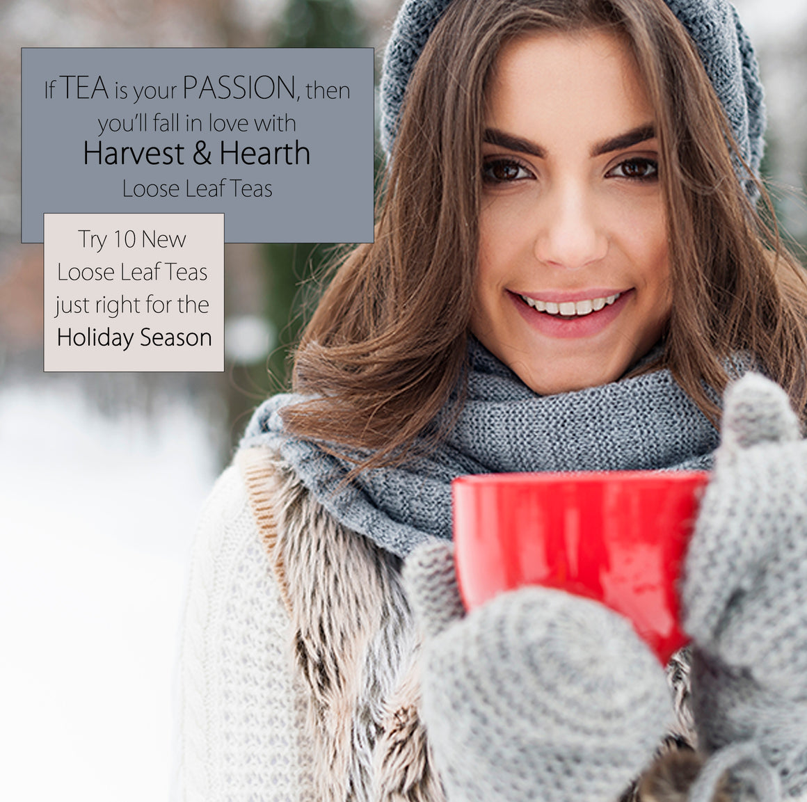 Harvest & Hearth Tea Explorer Kit