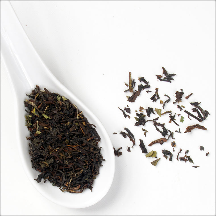 Darjeeling black tea SoMo Tea