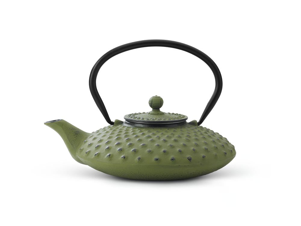 Cast Iron Teapot | XILIN